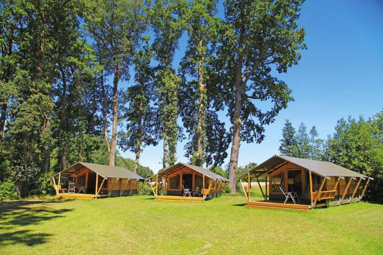 Ferienhof Brinkort Warmsen Exteriör bild